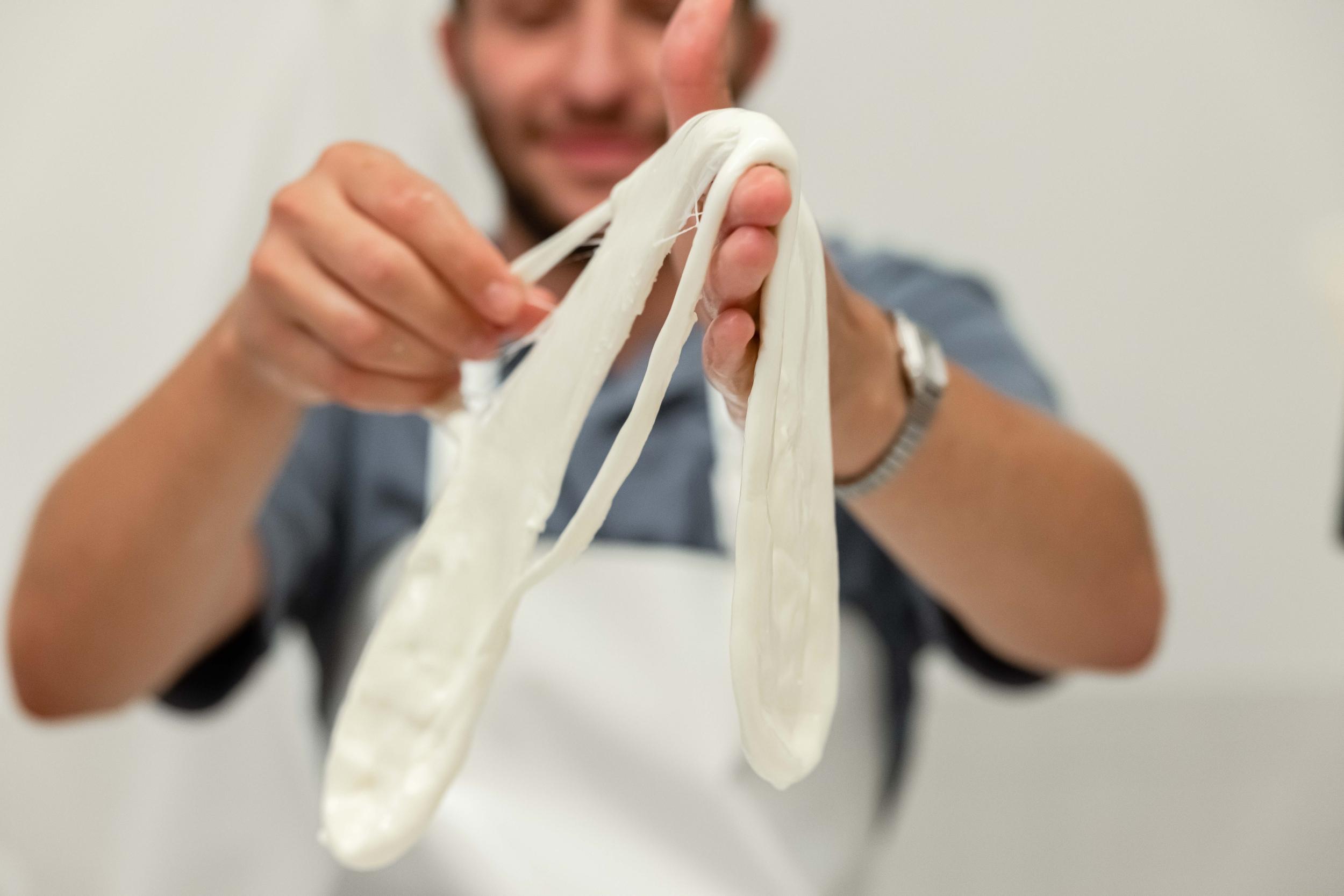 Fabriquez votre mozzarella et tresse artisanales