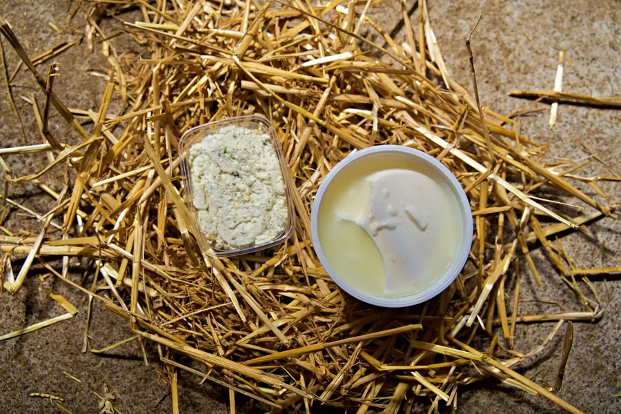 Réalisez votre fromage au sein d'une chèvrerie avec Adèle et Loïc - Image n°1 - Wecandoo