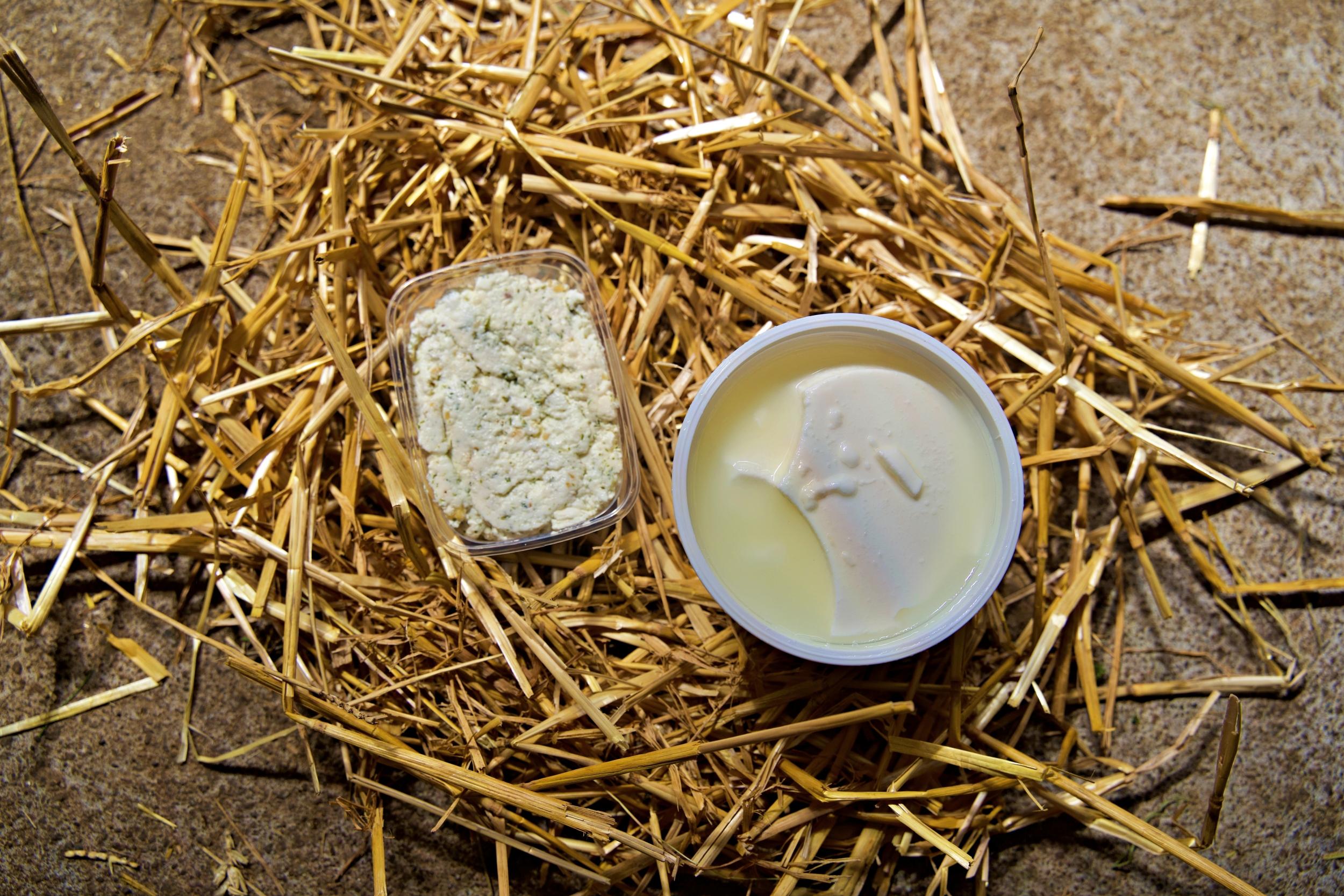 Réalisez votre fromage au sein d'une chèvrerie