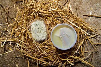 Réalisez votre fromage au sein d'un chèvrerie