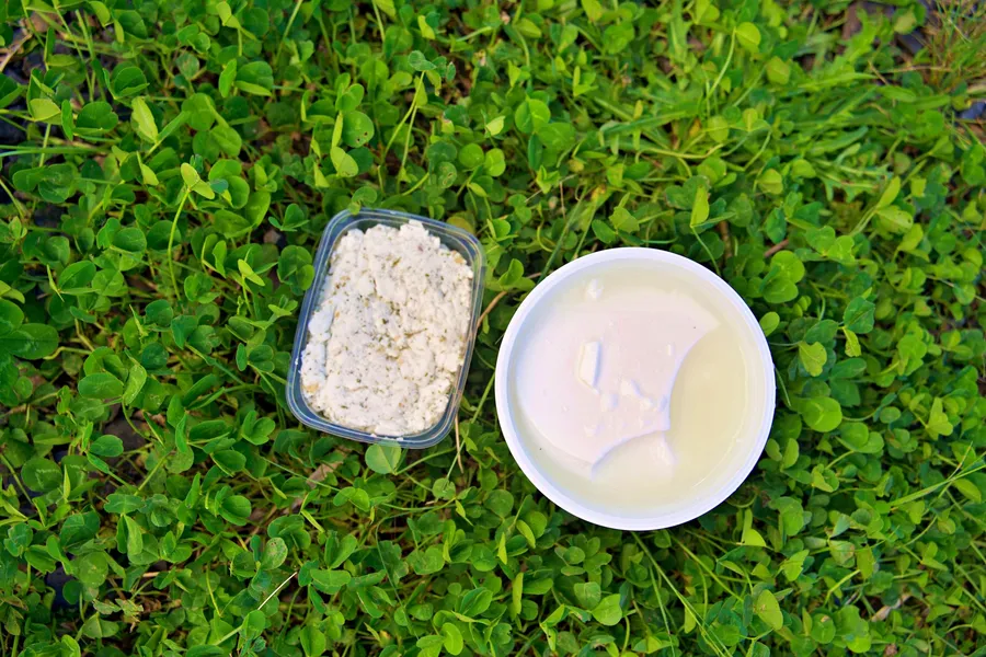 Moulez vos fromages en famille avec Adèle et Loïc - Image n°1 - Wecandoo