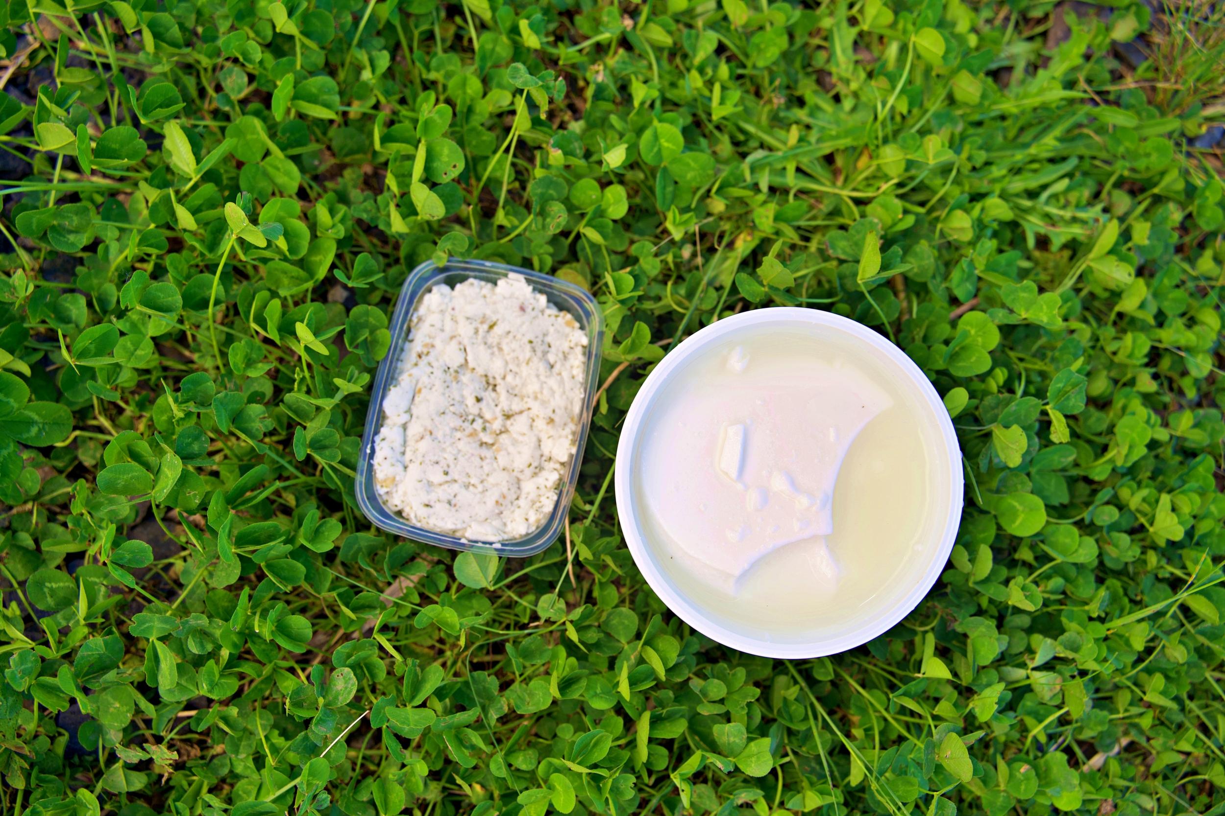 Moulez vos fromages en famille