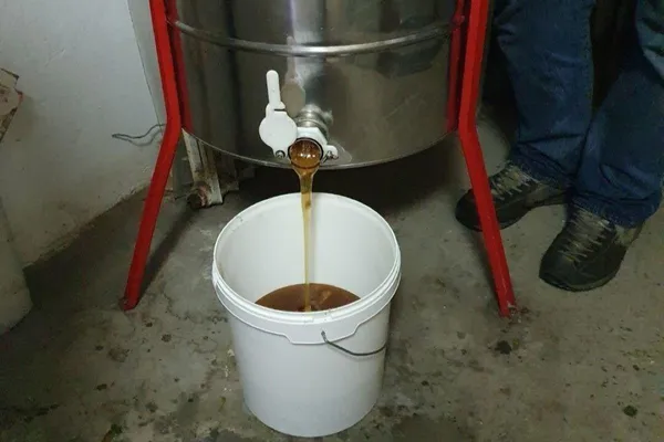 Découvrez l'apiculture et les abeilles avec Jean - Image n°5 - Wecandoo