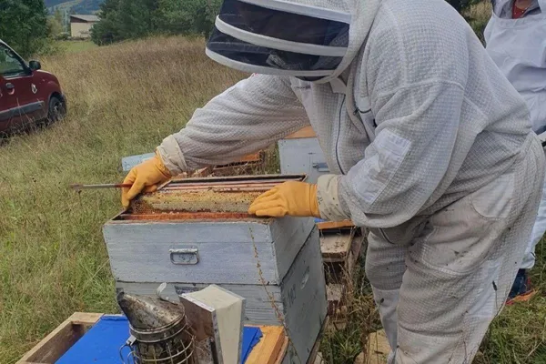 Découvrez l'apiculture et les abeilles avec Jean - Image n°2 - Wecandoo