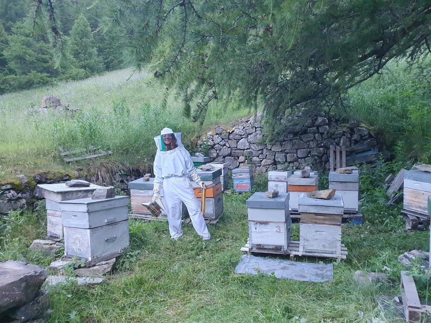 Découvrez l'apiculture et les abeilles avec Jean - Image n°6 - Wecandoo