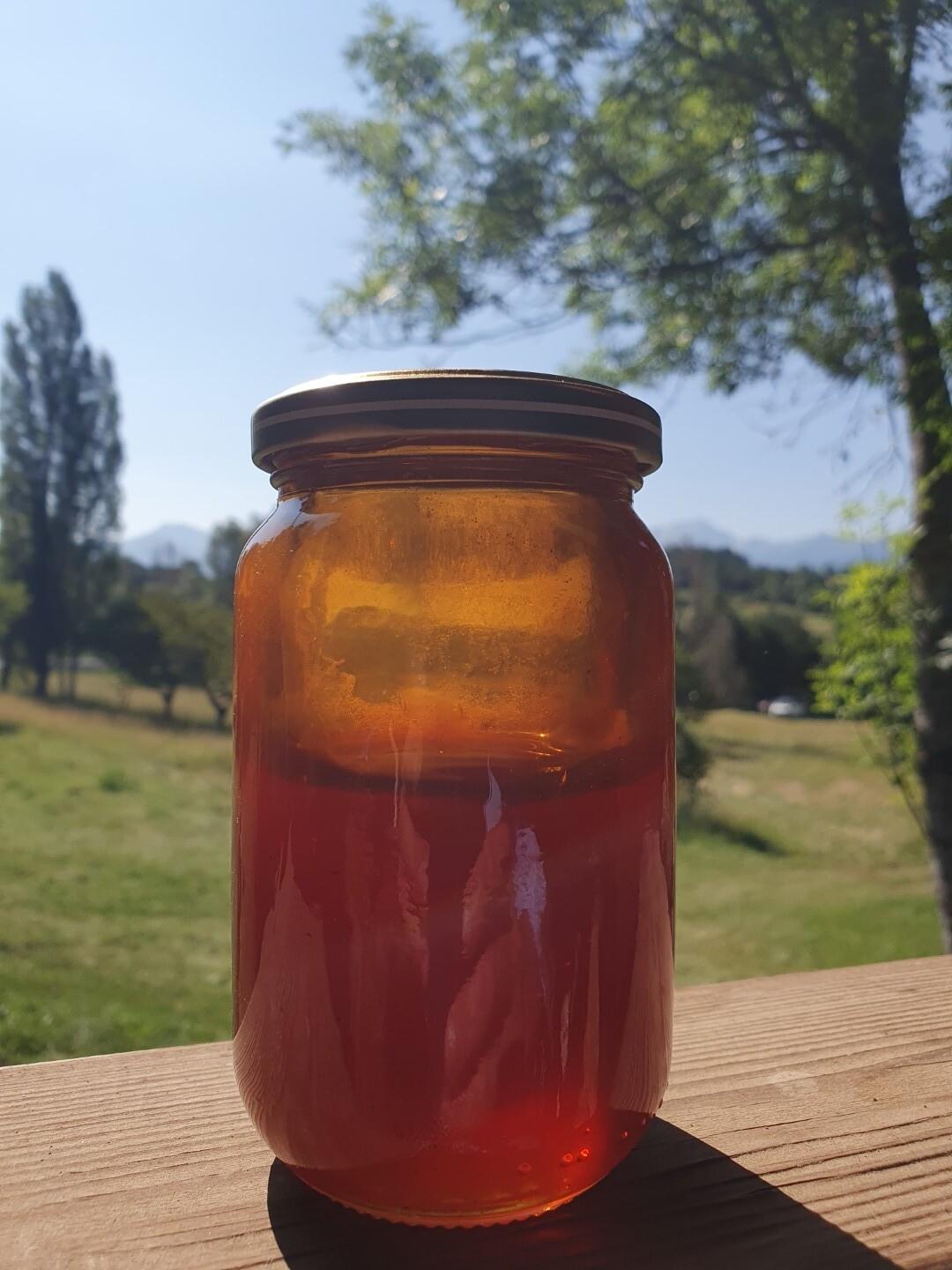 Découvrez l'apiculture et les abeilles avec Jean - Image n°5 - Wecandoo