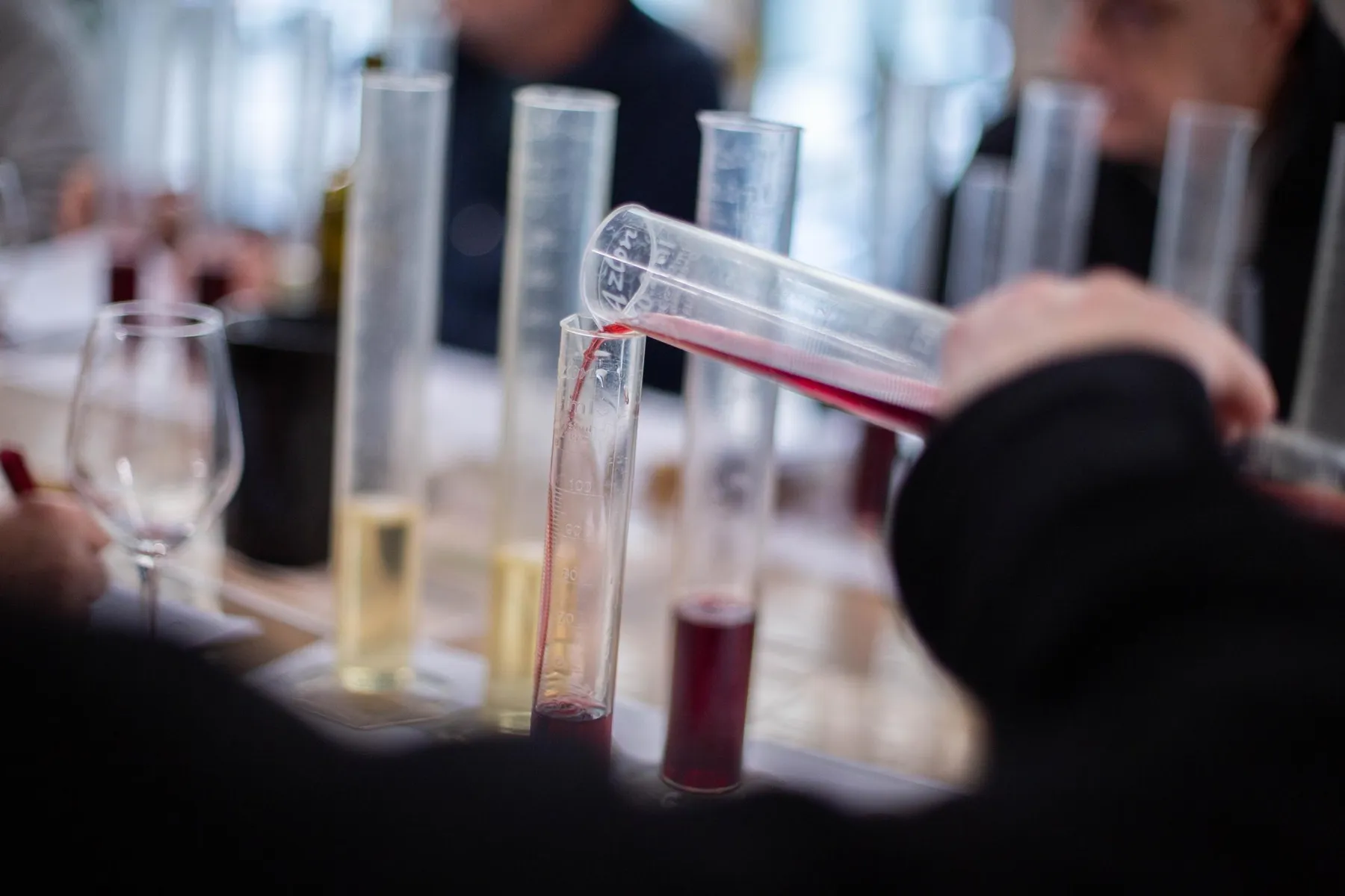 Assemblez votre cuvée de vin avec Marie, Franck ou Grégoire - Image n°1 - Wecandoo