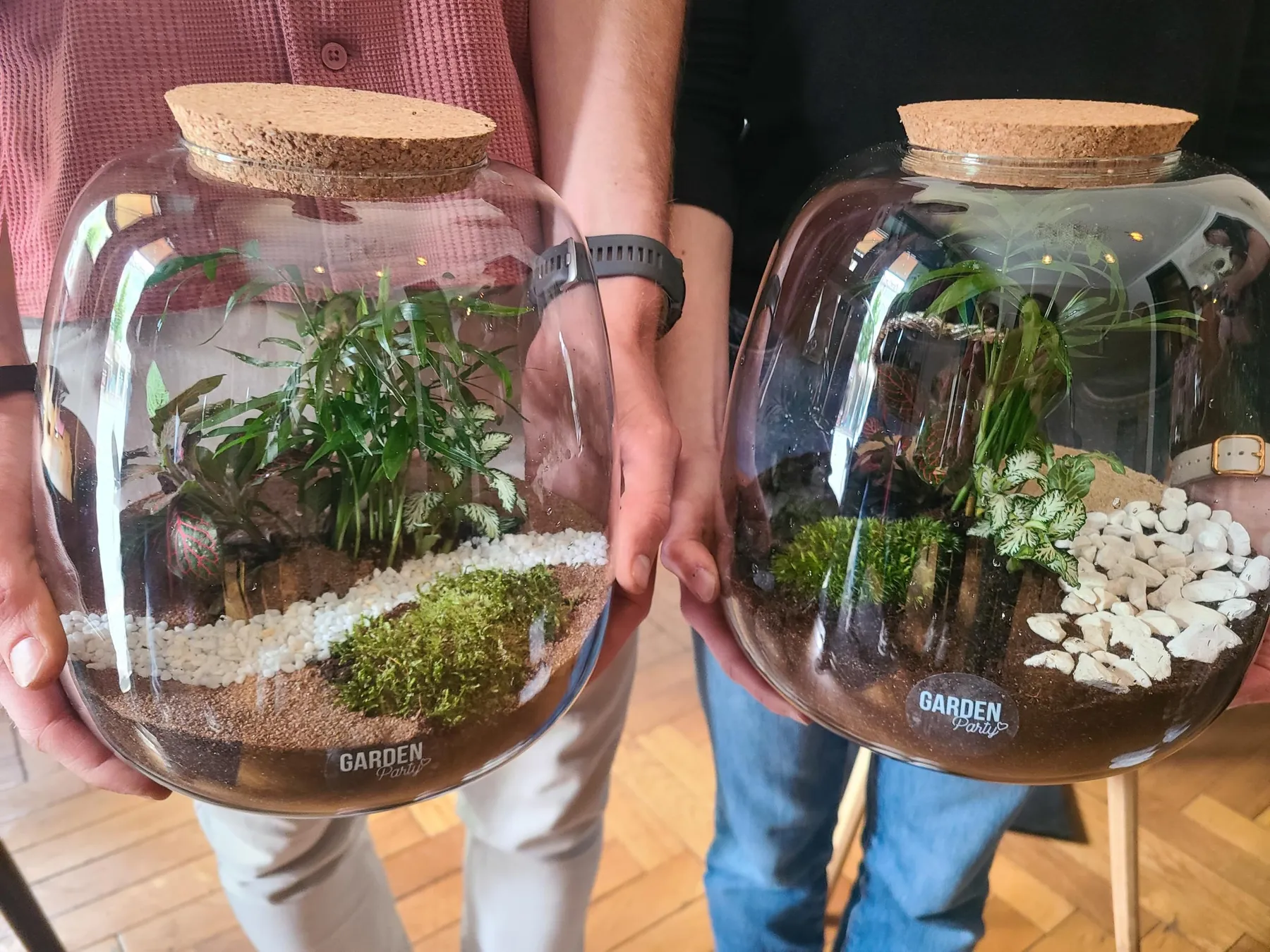 Réalisez votre terrarium de taille S avec Agathe - Image n°4 - Wecandoo