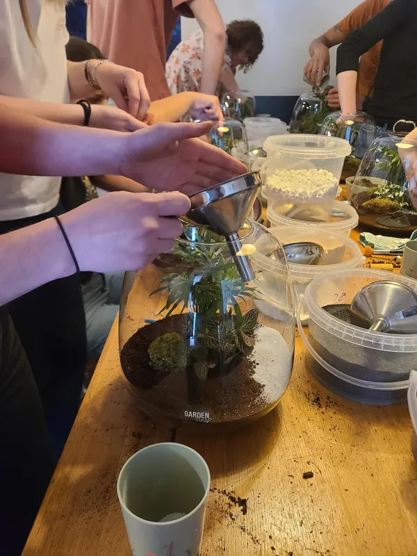 Réalisez votre terrarium de taille S avec Agathe - Afbeelding nr. 5 - Wecandoo