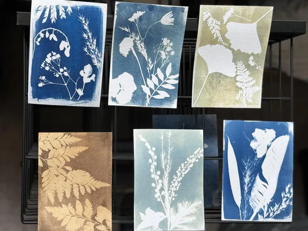 Approfondissez vos techniques du cyanotype avec Charlotte - Image n°3 - Wecandoo