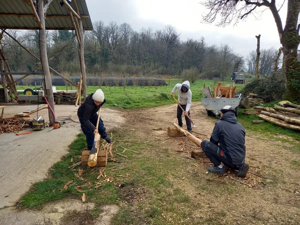 Construisez une cabane avec Stéphane - Image n°5 - Wecandoo