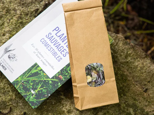 Initiez-vous à la cueillette sauvage - Image n°4 - Wecandoo