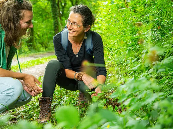 Initiez-vous à la cueillette sauvage - Image n°1 - Wecandoo