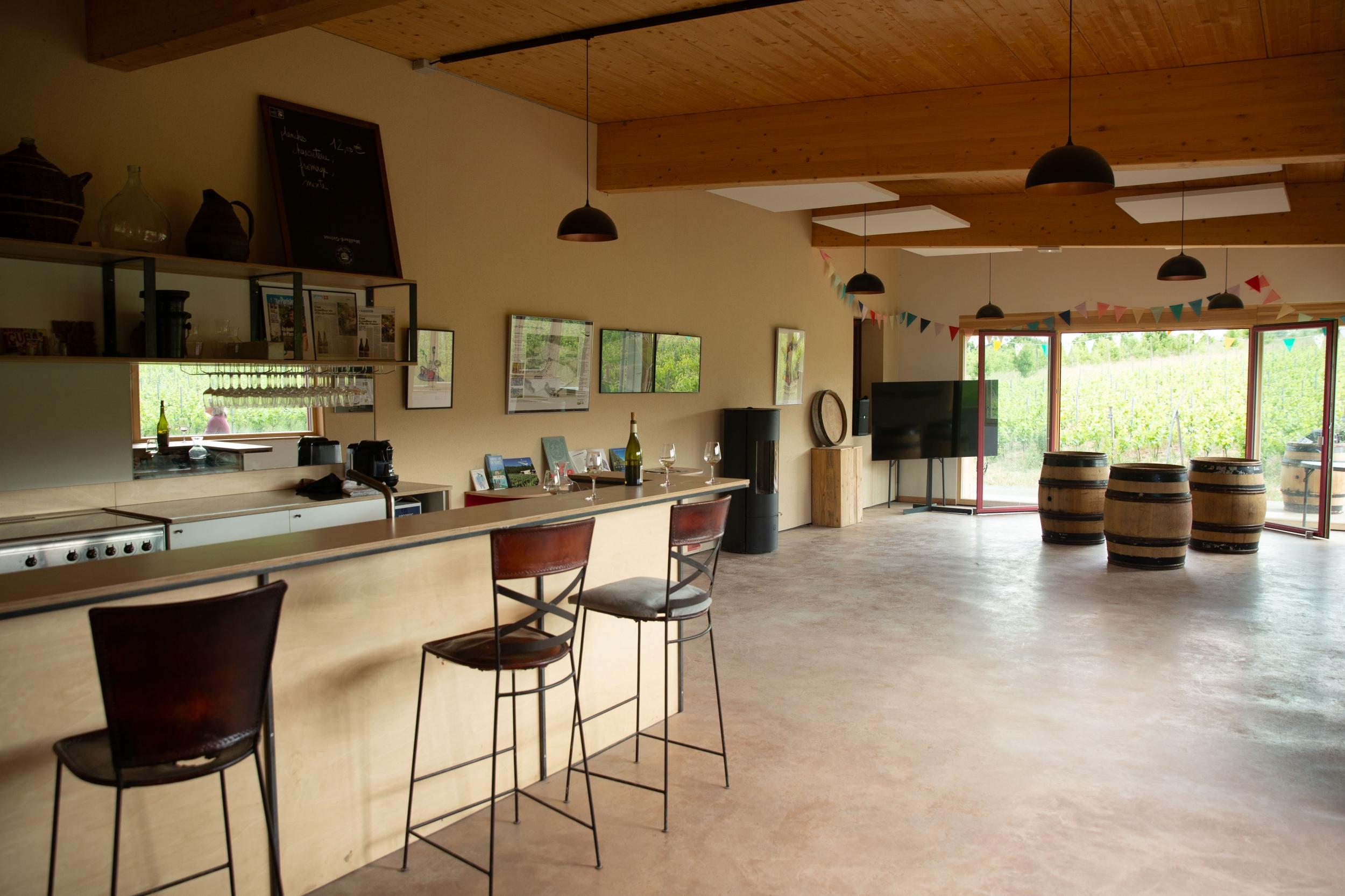 Visitez des vignes et dégustez du vin avec Pierric et Maura - Image n°11 - Wecandoo