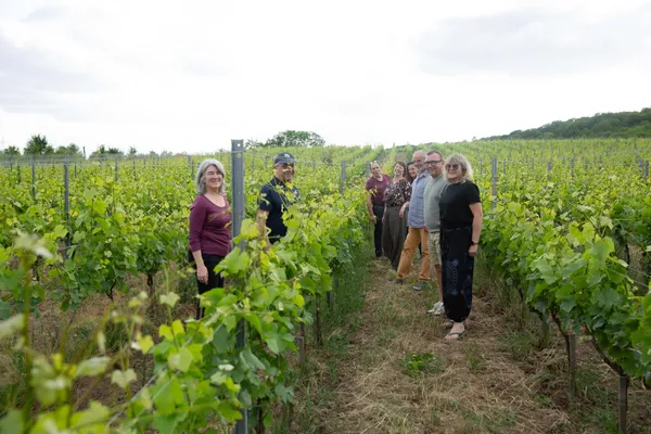 Visitez des vignes et dégustez du vin avec Pierric et Maura - Image n°2 - Wecandoo