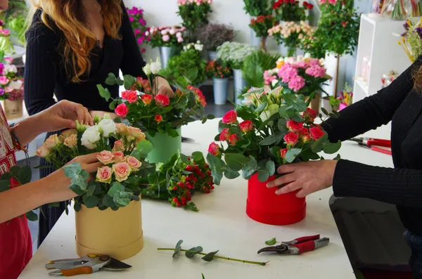 Créez votre composition de fleurs fraîches avec Lucie - Image n°2 - Wecandoo