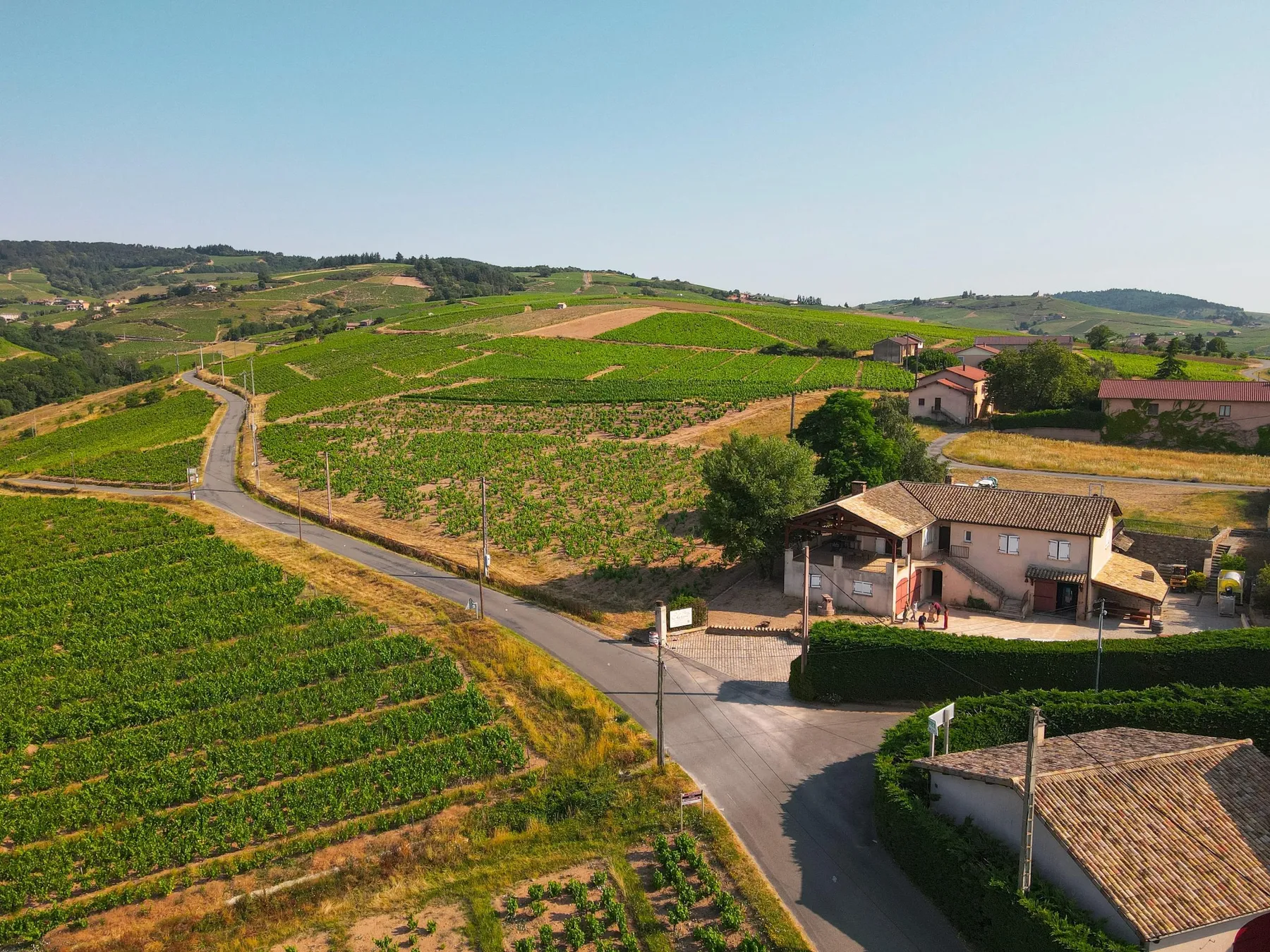 Baladez-vous à travers les vignes et dégustez des vins avec Steeve - Image n°2 - Wecandoo