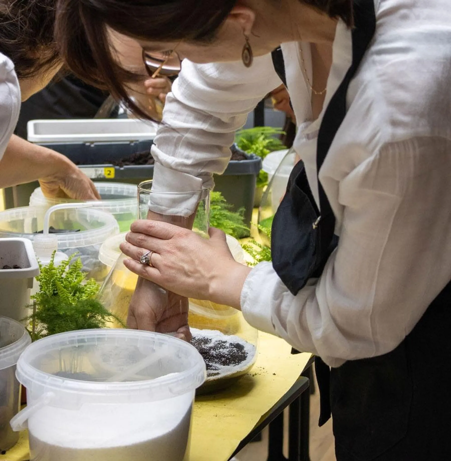 Réalisez votre terrarium autour d'un apéro avec Iris - Image n°5 - Wecandoo