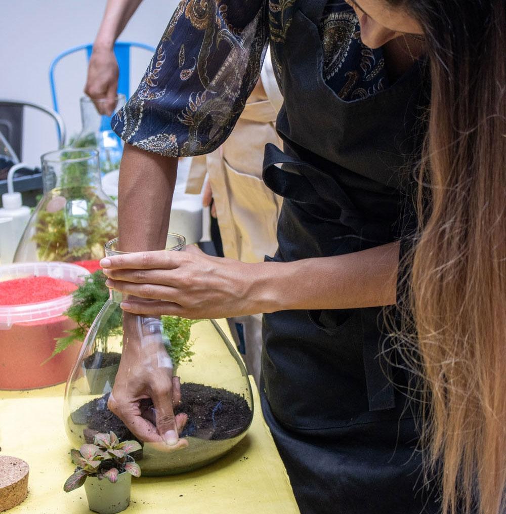 Réalisez votre terrarium autour d'un apéro