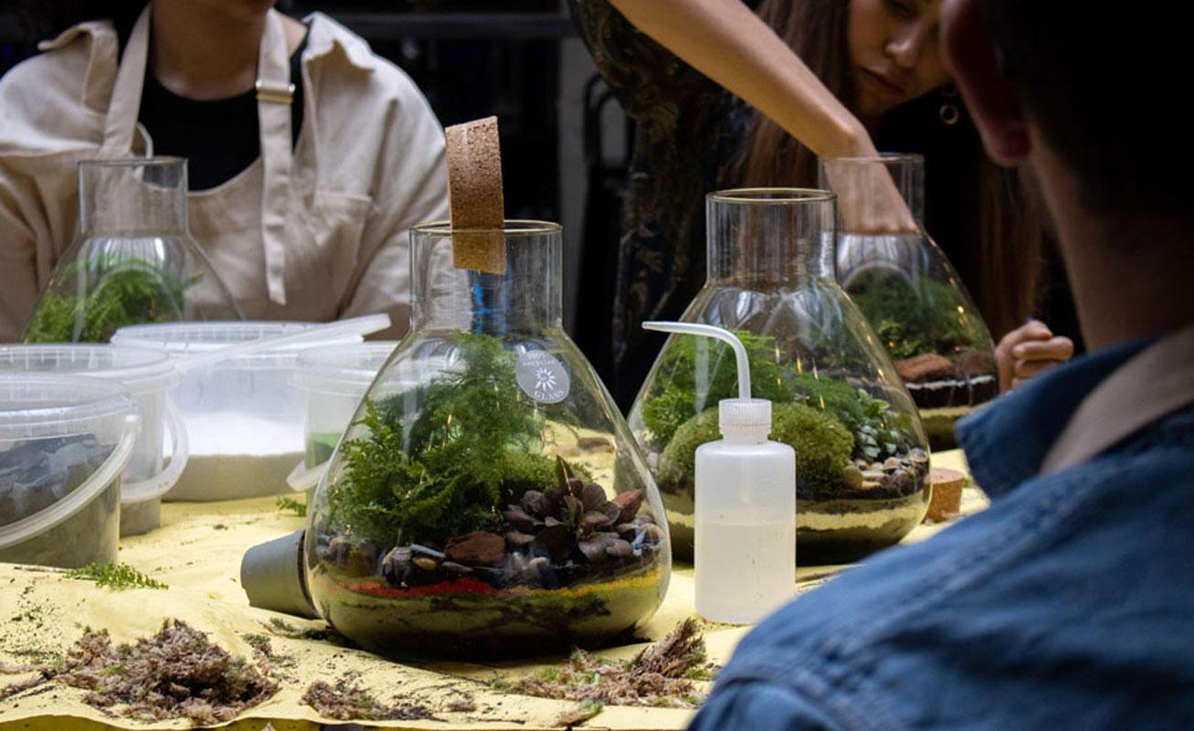 Réunissez votre équipe et réalisez vos terrariums avec Iris - Image n°6 - Wecandoo