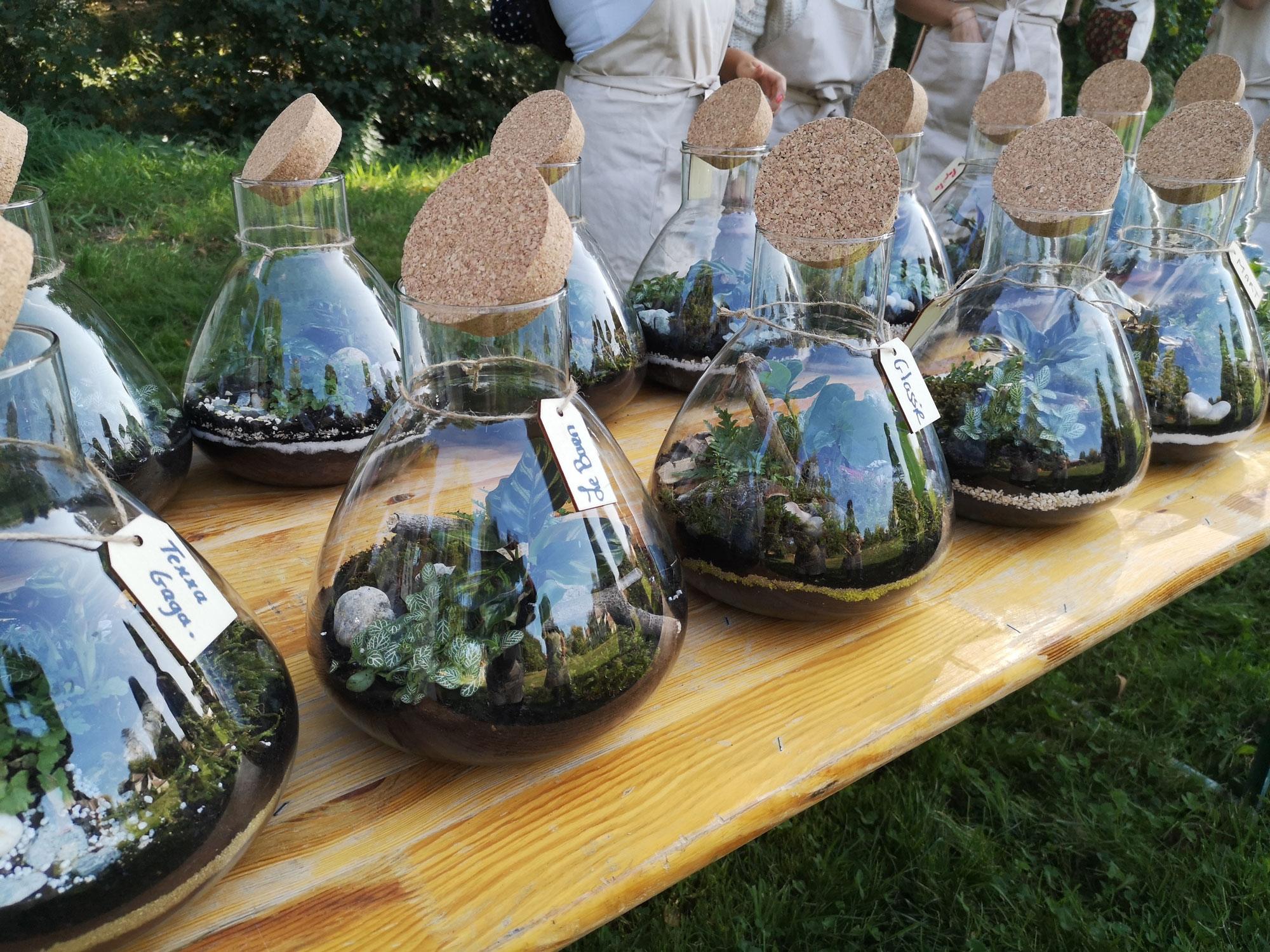 Réalisez vos terrariums en équipe sur votre lieu