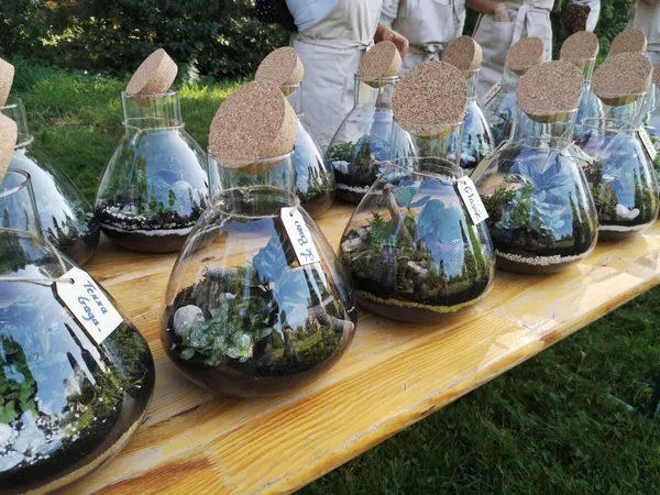 Réalisez vos terrariums en équipe sur votre lieu à Paris