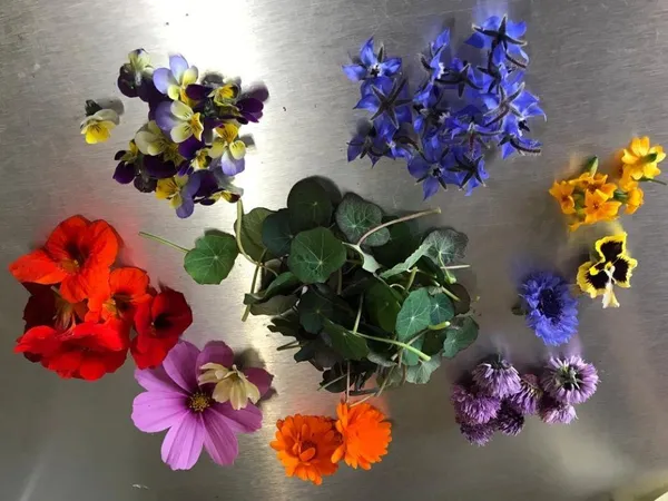 Dégustez des fleurs comestibles avec Matilde et JS - Afbeelding nr. 5 - Wecandoo