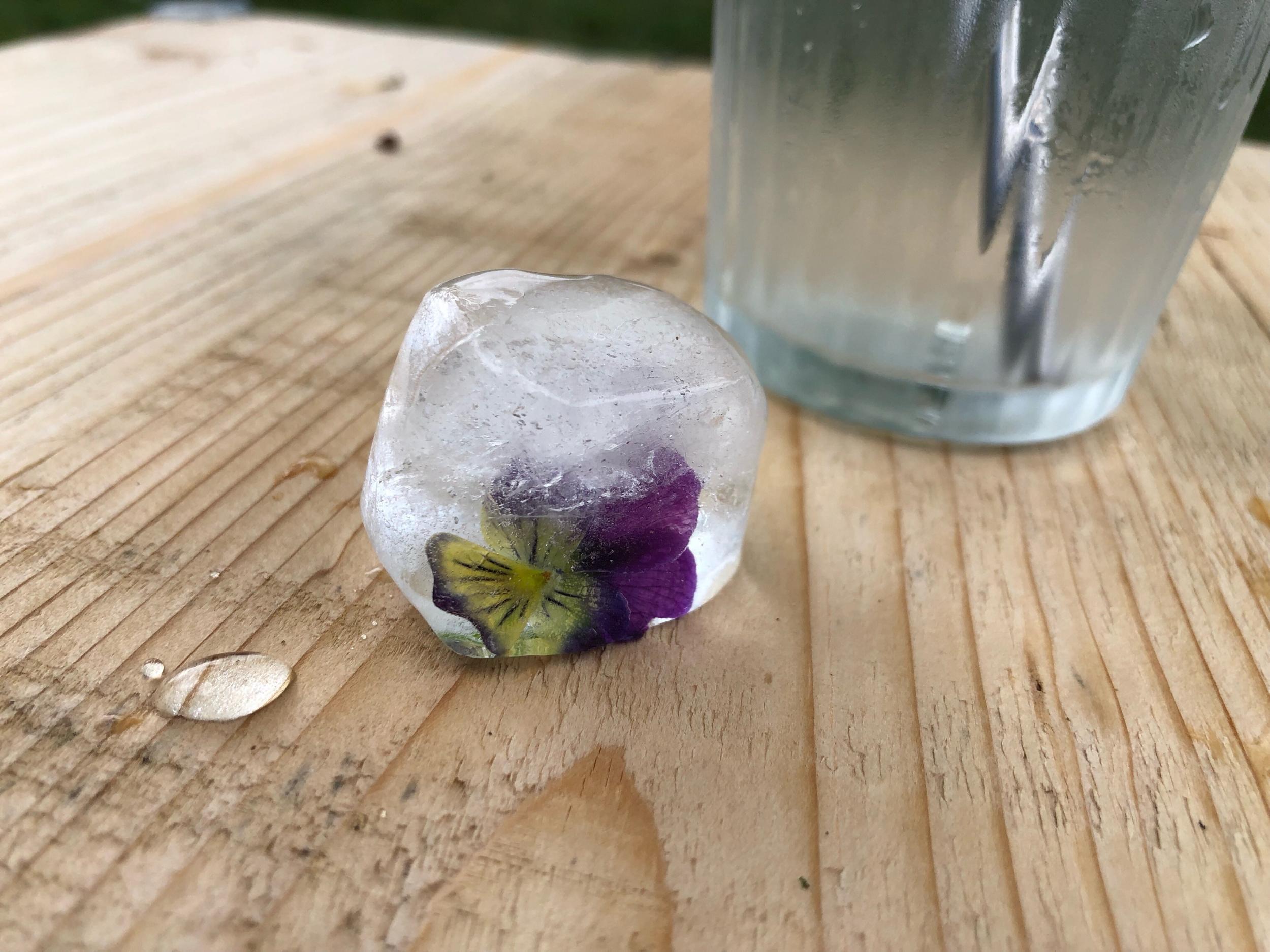 Dégustez des fleurs comestibles avec Matilde et JS - Image n°6 - Wecandoo
