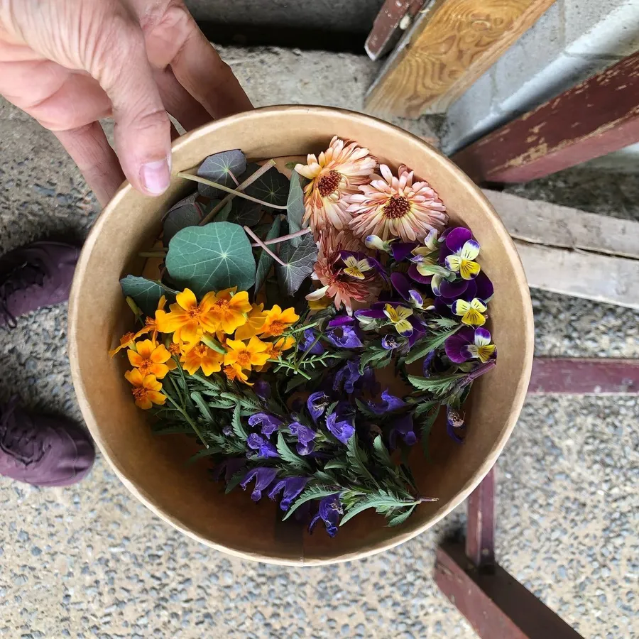 Dégustez des fleurs comestibles avec Matilde et JS - Afbeelding nr. 1 - Wecandoo