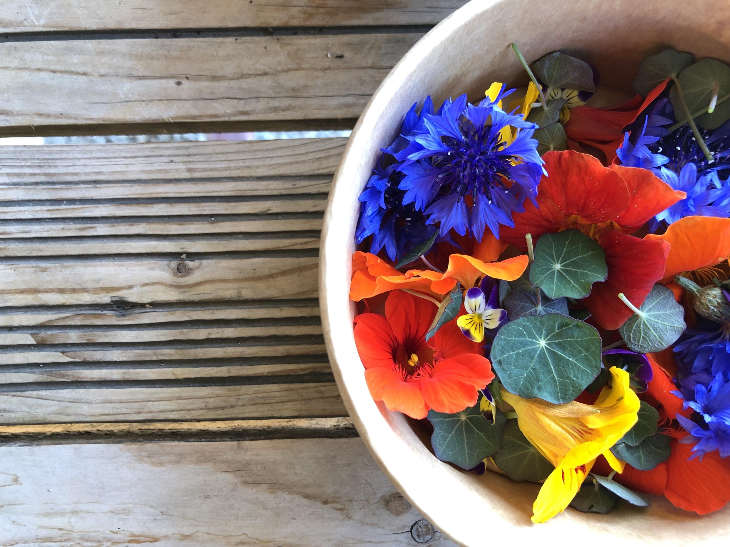 Dégustez des fleurs comestibles avec Matilde et JS - Image n°2 - Wecandoo