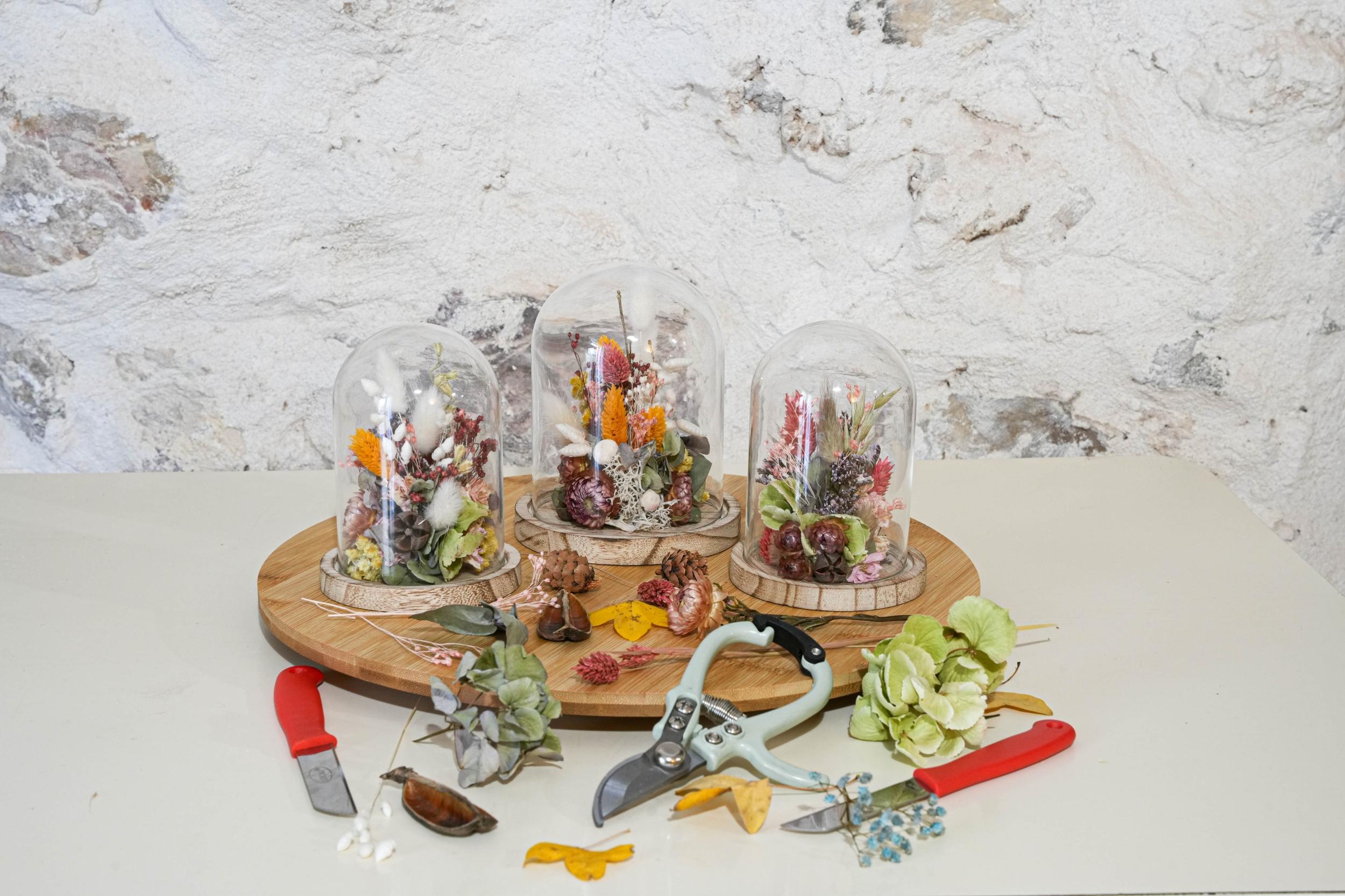 Créez votre cloche de fleurs séchées en duo avec votre enfant accompagnés par Leila - Image n°1 - Wecandoo