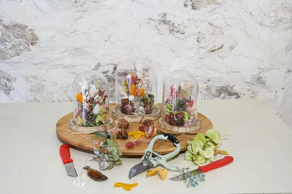 Créez votre cloche de fleurs séchées en duo avec votre enfant accompagnés par Leila - Image n°1 - Wecandoo
