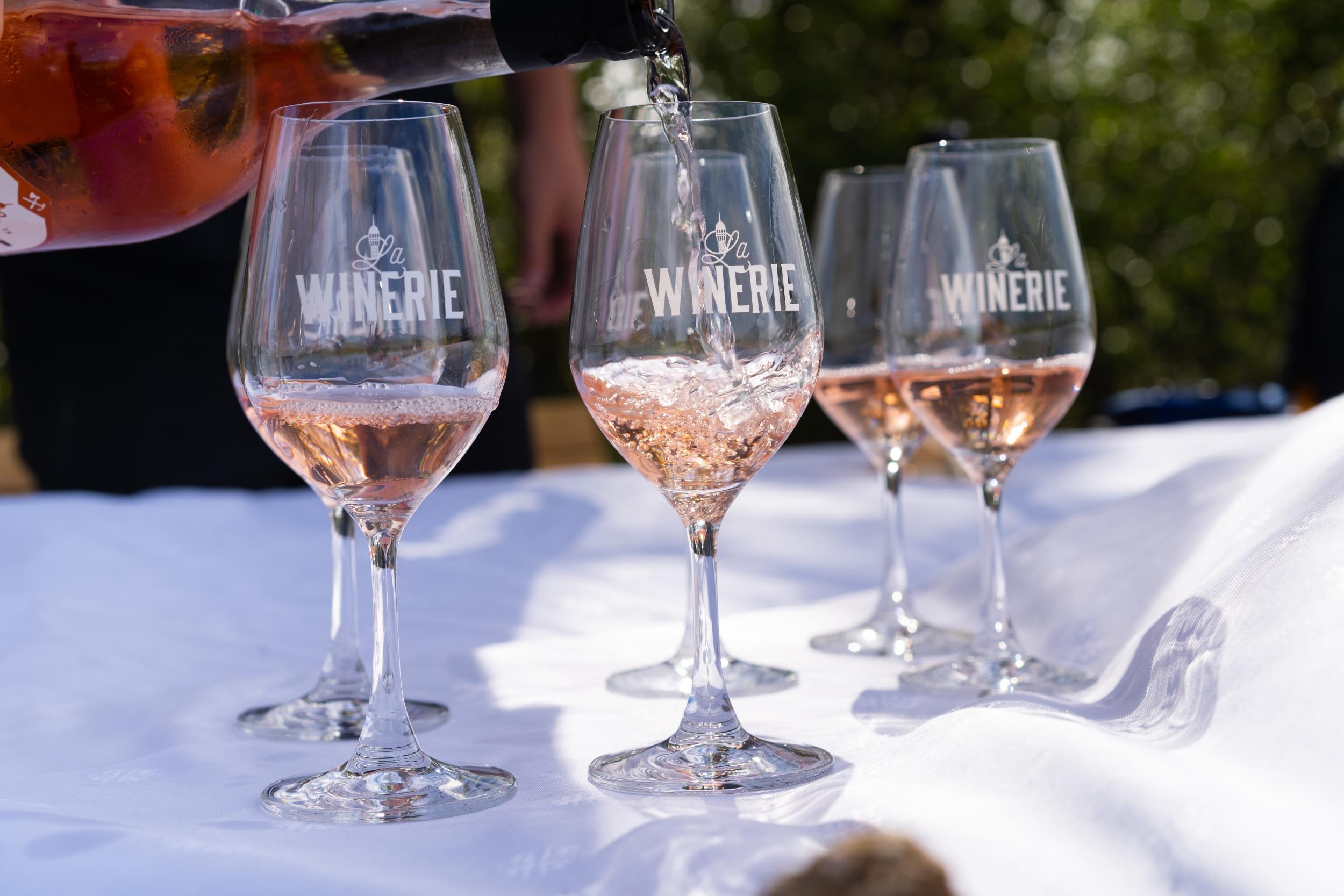 Dégustez des accords mets et vins