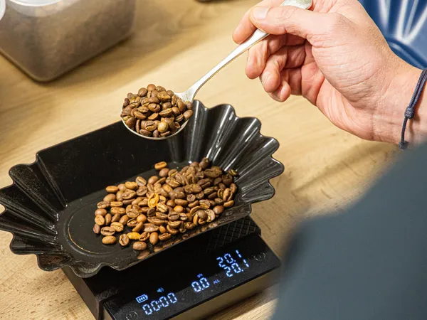 Apprenez la torréfaction comme un professionnel - Image n°2 - Wecandoo