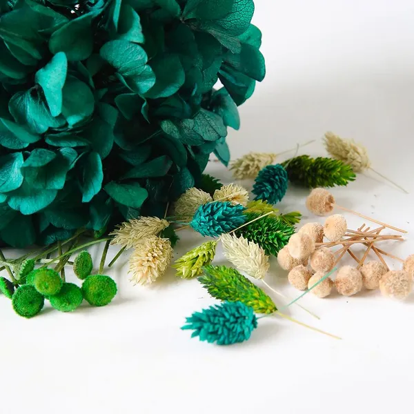 Réalisez votre suspension végétale avec Sophie - Image n°4 - Wecandoo