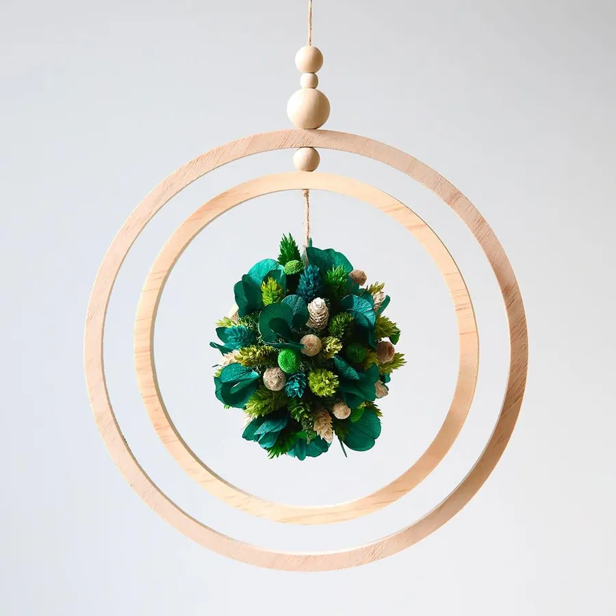 Réalisez votre suspension végétale avec Sophie - Image n°1 - Wecandoo