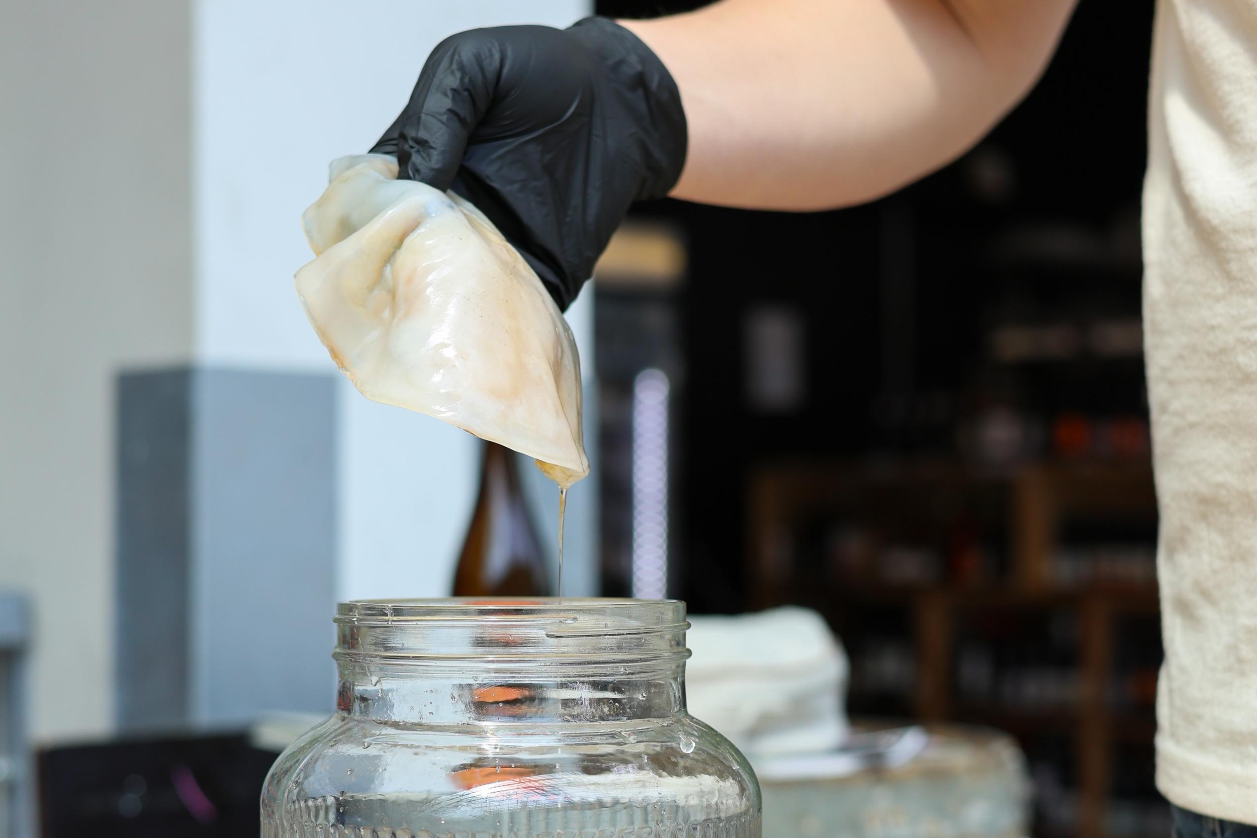 Initiez-vous à l'art du kombucha, du thé à la fermentation avec Céline et Guillaume - Image n°4 - Wecandoo