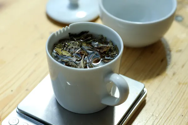 Initiez-vous à l'art du kombucha, du thé à la fermentation avec Céline et Guillaume - Image n°3 - Wecandoo