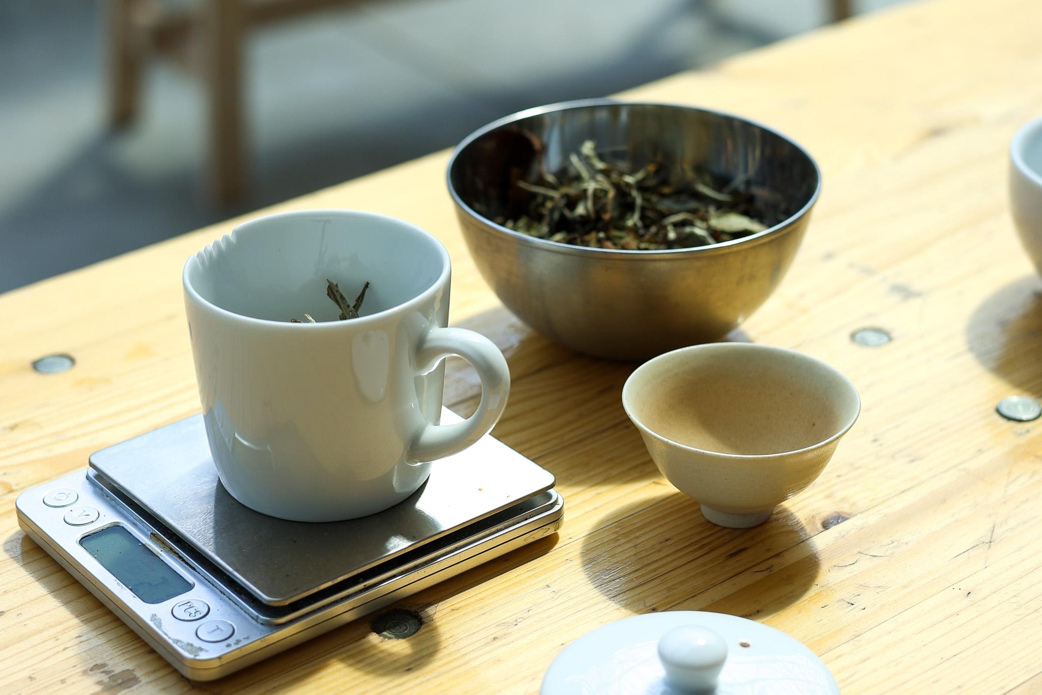 Initiez-vous à l'art du kombucha