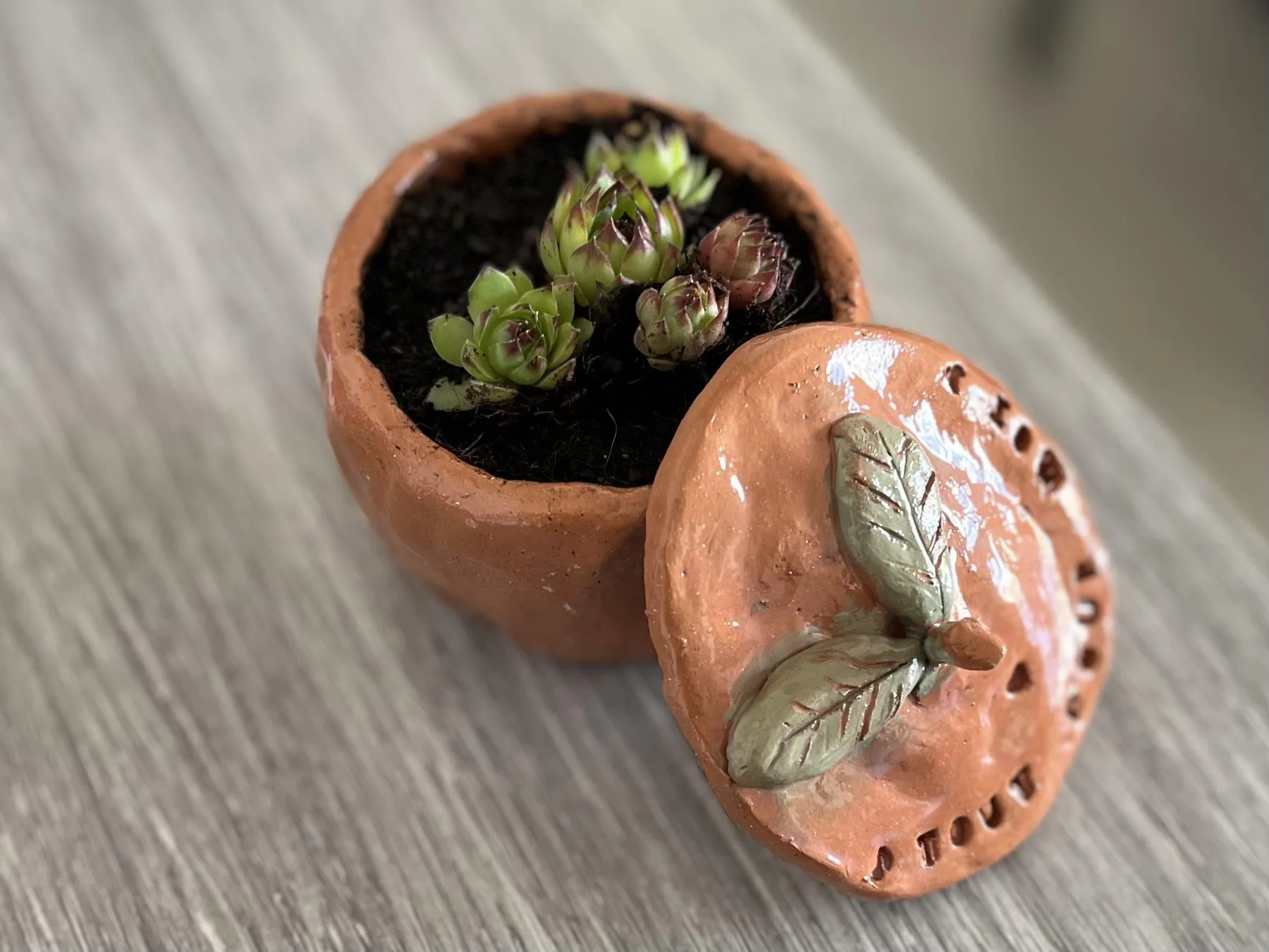 Modelez et décorez votre pièce en céramique en duo avec votre enfant, accompagnés par Anne - Image n°3 - Wecandoo