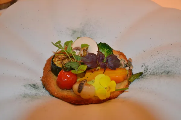 Réalisez 3 recettes de cuisine du futur agrémentées d'insectes avec Laurent - Afbeelding nr. 3 - Wecandoo