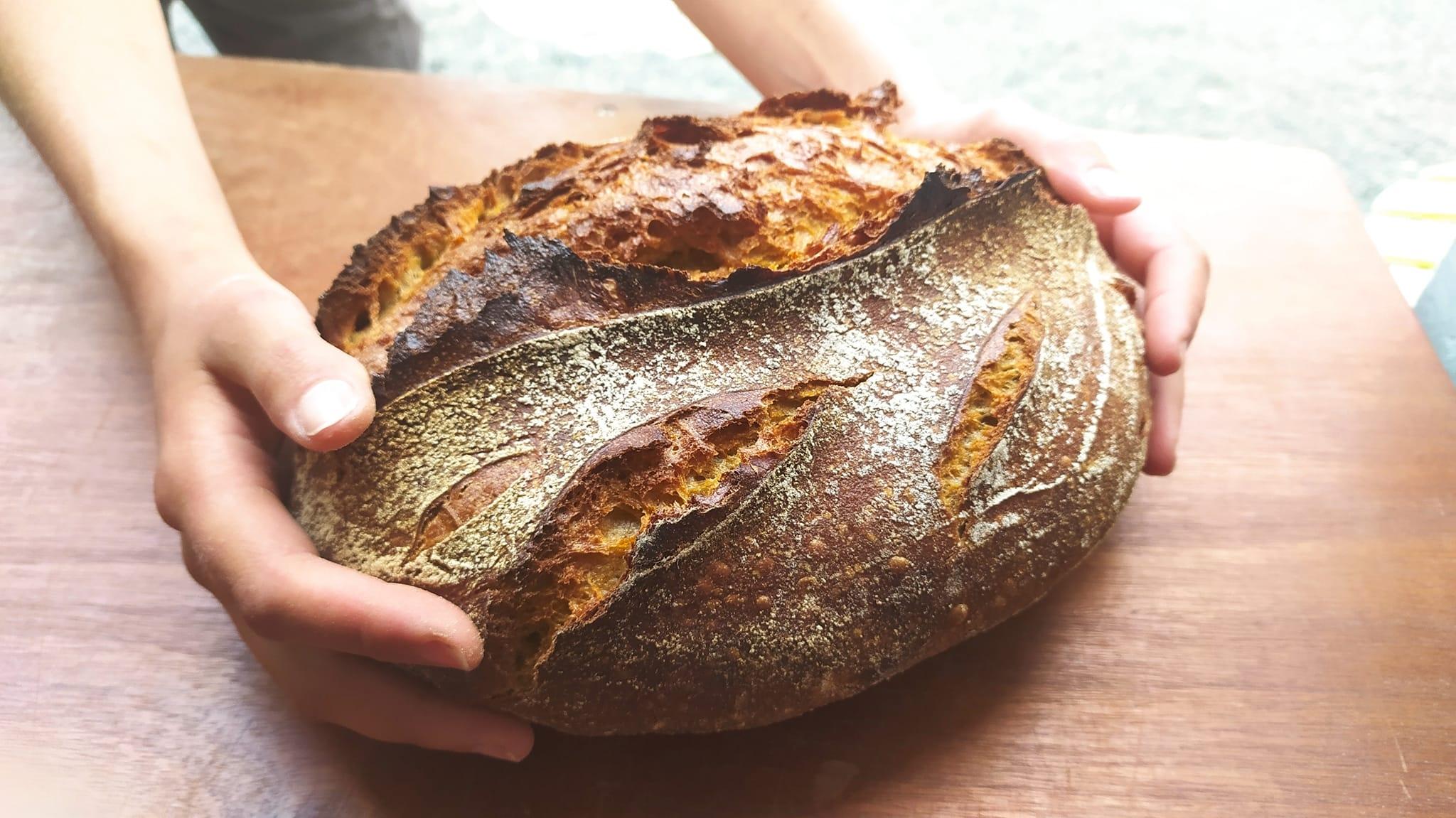 Découvrez le métier de boulanger
