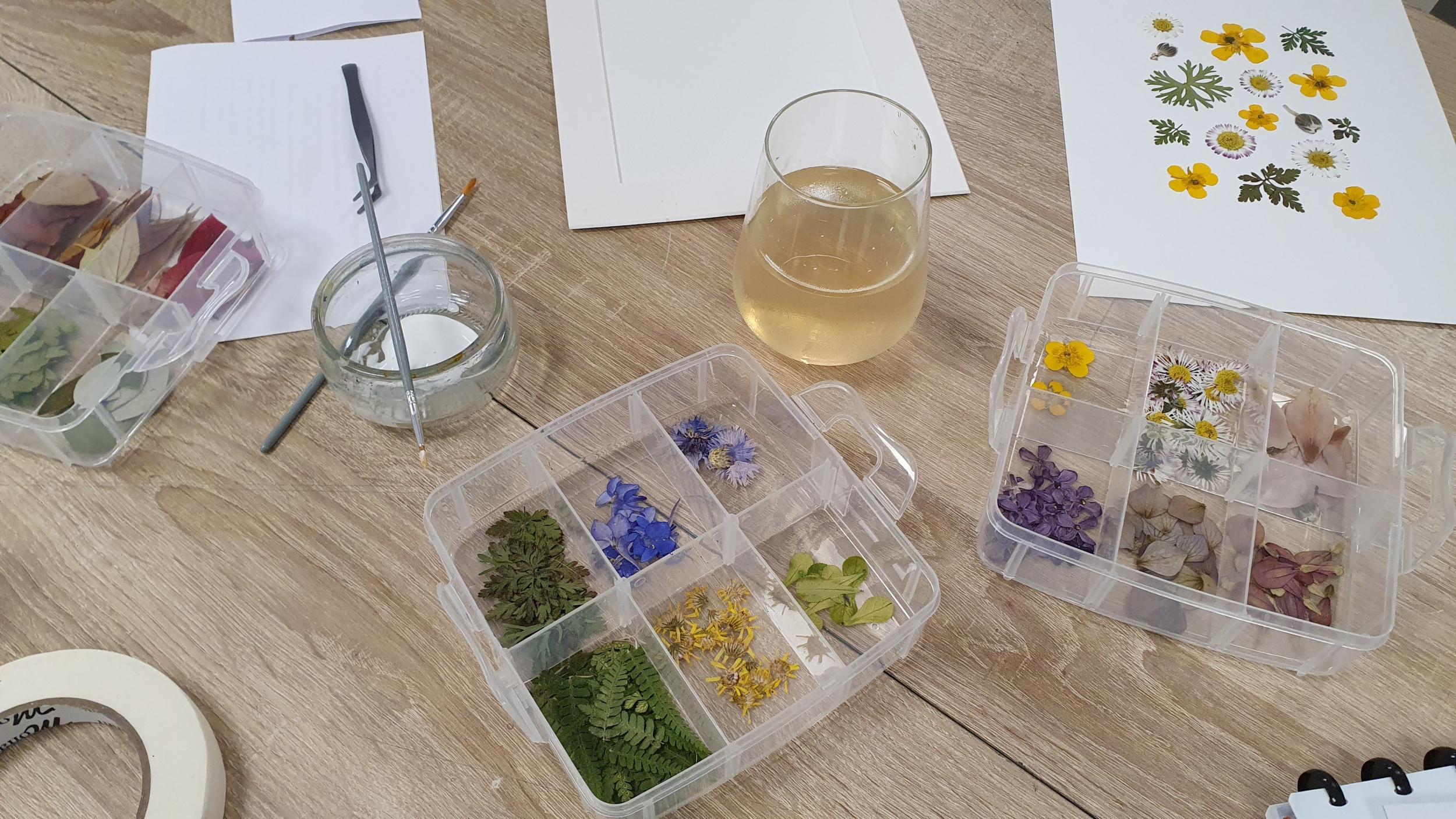 Confectionnez votre herbier avec Jessica - Image n°2 - Wecandoo