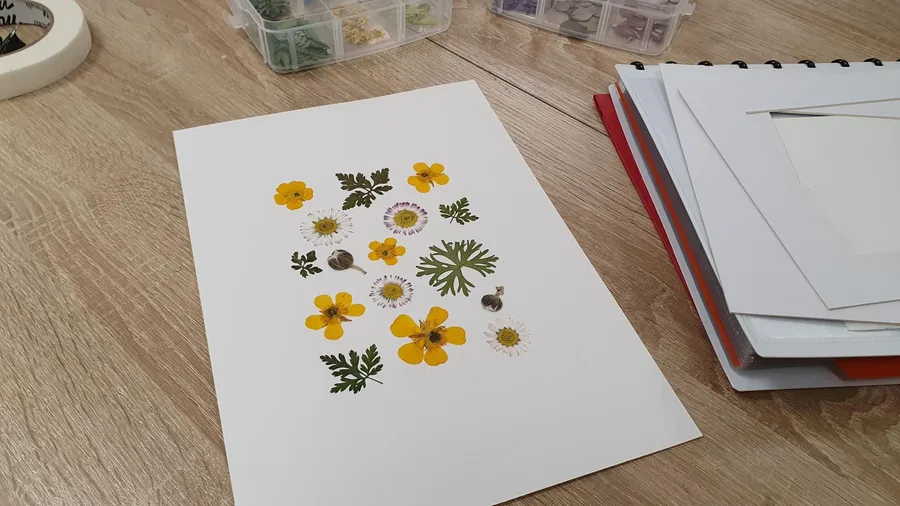 Confectionnez votre herbier avec Jessica - Afbeelding nr. 1 - Wecandoo