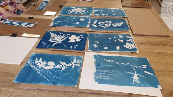 Découvrez le cyanotype à Amiens