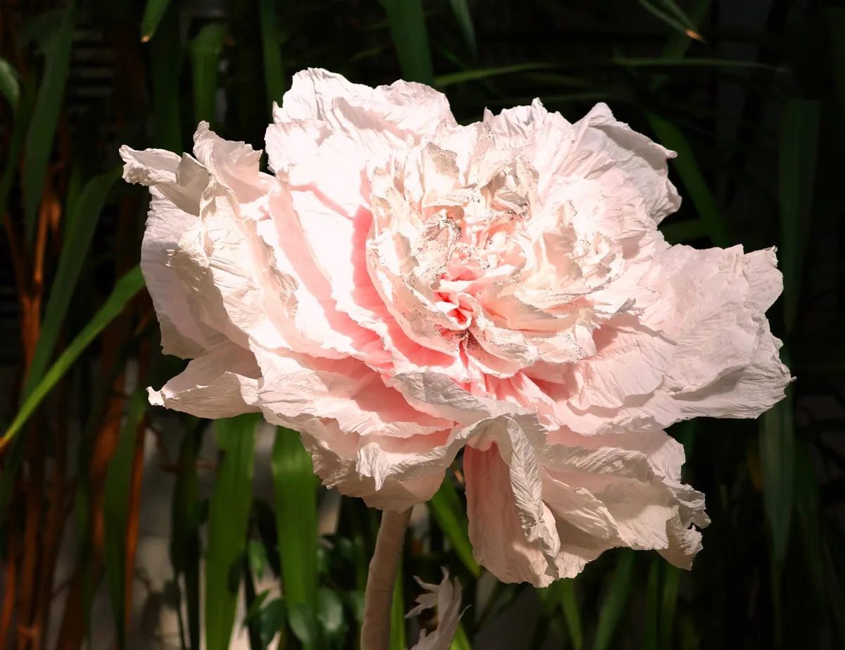 Créez une fleur et sa tige en papier