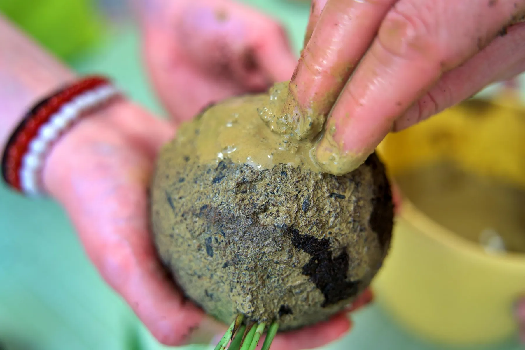 Réalisez votre kokedama avec Cécile - Image n°2 - Wecandoo