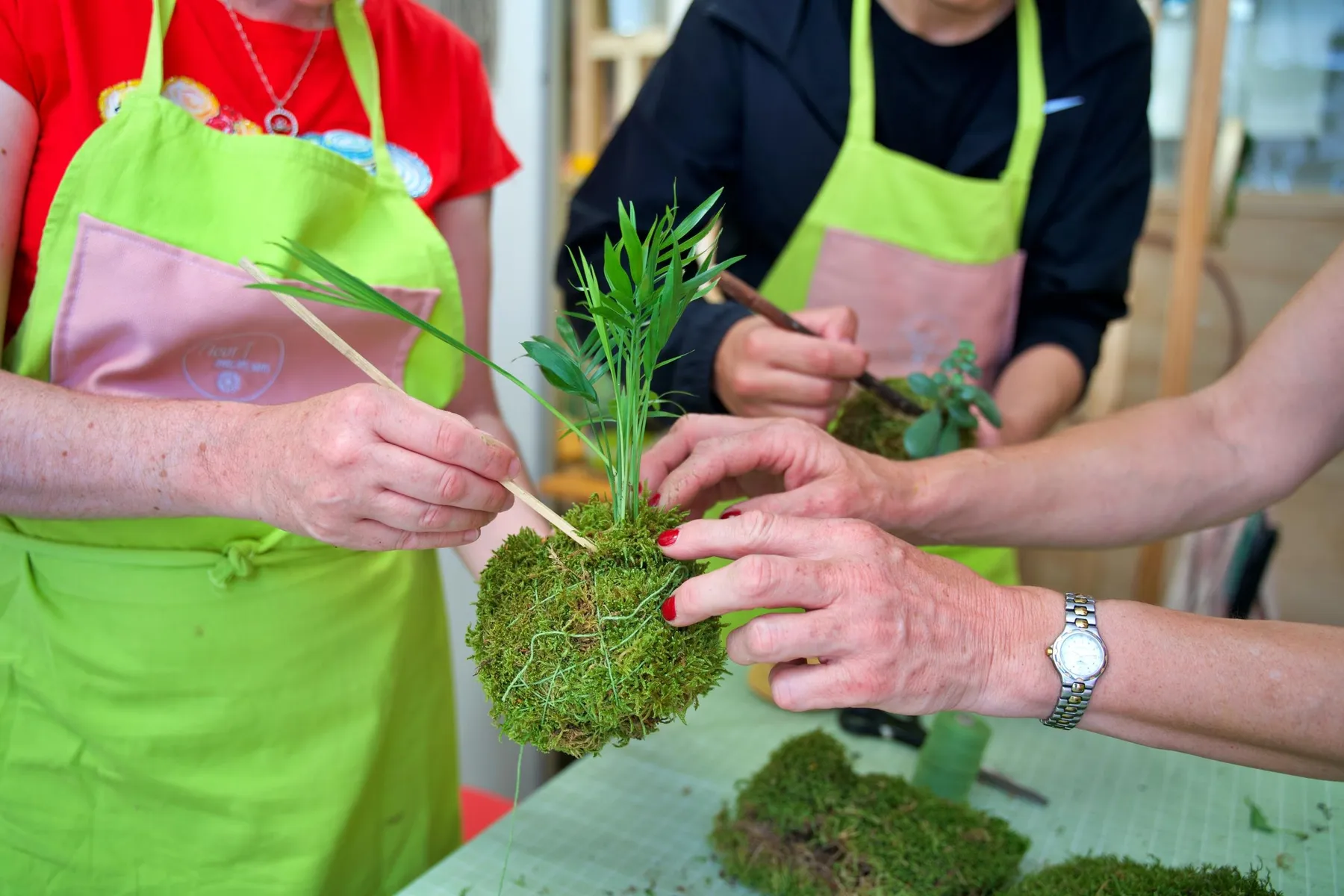 Réalisez votre kokedama avec Cécile - Image n°5 - Wecandoo