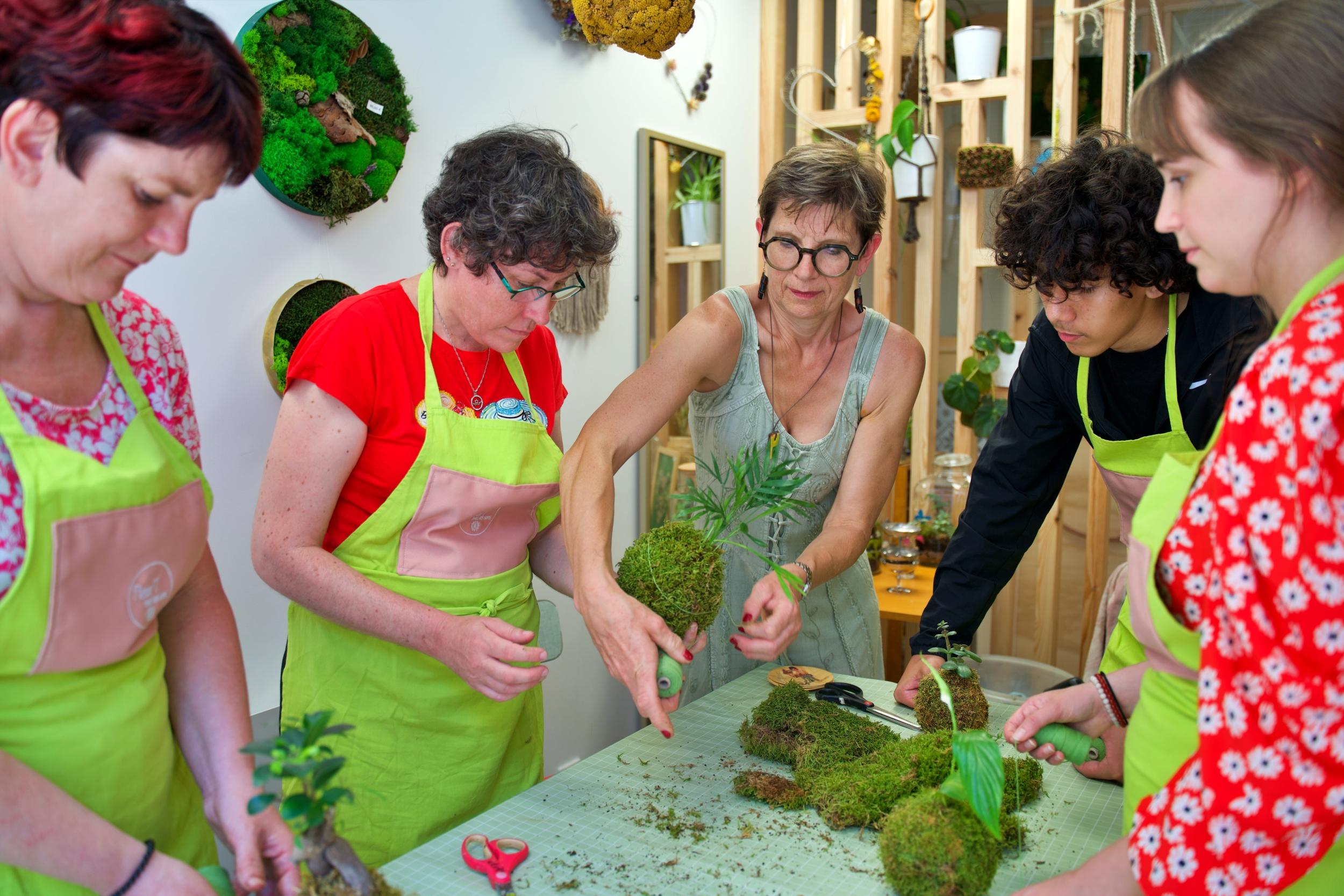 Réalisez votre kokedama - Image n°11 - Wecandoo