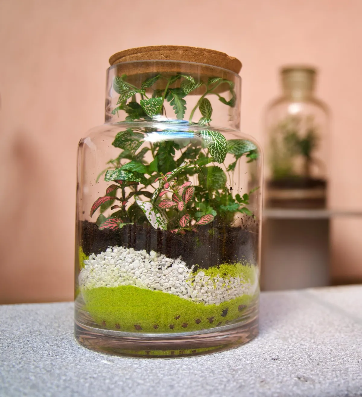 Réalisez votre terrarium